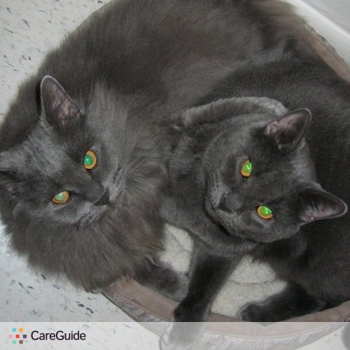 Pet Care Job Jessica K's Profile Picture