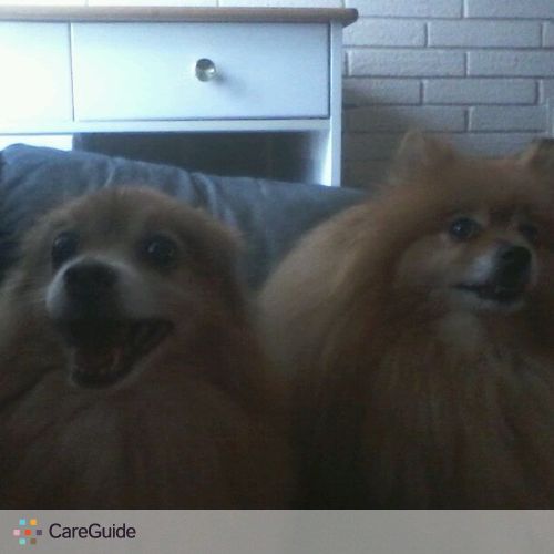 Pet Care Provider Darieen S's Profile Picture