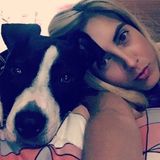 Miami Dog Sitter Looking For Job Opportunities in Florida