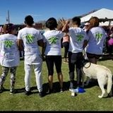 El Paso Pet Sitter Interviewing For Job Opportunities in Texas