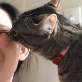 Animals are the key to true souls