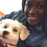 Available For a Dog Walker Job, pet sitting, and boarding in Mississauga