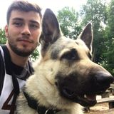 The Best Pet Carer in New York