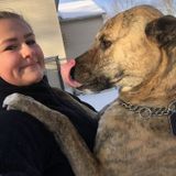 Experienced Pet Sitter and Dog Walker in Watertown and Southbury, Connecticut