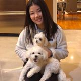 College student dog-lover available for hire!