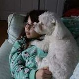 Animal lover seeking to pet as many animals as humanly possible