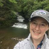 Interviewing For Albany House Sitter, New York Jobs