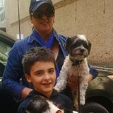 Present Housesitter in Chicago