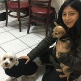 Available: Pet Sitting in Brooklyn/ Manhattan
