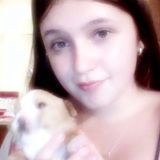 I Grew Up With Farm Animals, Cats , And Dogs . Looking To Love Your Animals When Needed To Pet Sit.