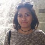 Young, bilingual, adult looking for a pt job