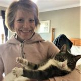 Auburn, California Animal Caregiver