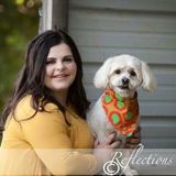 Excellent Pet Care Provider Available Today