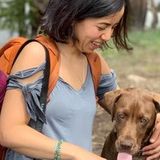 Nationwide reliable , trustworthy housesitter with flexible availablity ready to work