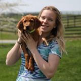 Experienced pet sitter, dog walker and overnight care. I am also doing online school to become a certified dog trainer.