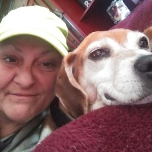 Pet Care Provider Kim A's Profile Picture
