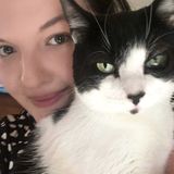 Cats, dogs, birds and more!