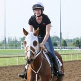 Great amount of experience with the care of horses. Interested in walking dogs as well and feeding.