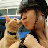 Jackson Heights House Sitter Seeking Job Opportunities in New York