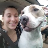 Hello! I have years of experience with dogs, cats, and rodents! I will take care of ANY animal in need!