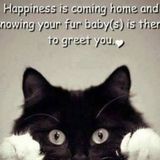 For Hire: Dedicated Pet Service Provider in Winnipeg, Manitoba