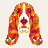 Excellent Pet Sitter Downtown