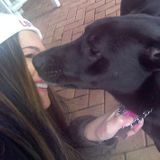 Trustworthy Petsitter
