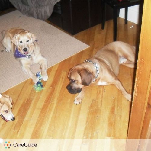 Pet Care Provider DEBRA H's Profile Picture