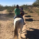Hard Working Petsitter for Hire