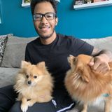 Your Miami Home Caretaker and Pet Sitter Seeking Work in Florida