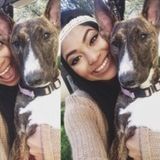 Im Looking To Walk Your Dog Or Dog Sit! I Willing To Do Whatever Job You Have For Me