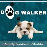 24/7 Pet sitting walking and boarding