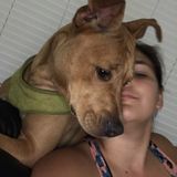 For Hire: Reliable Cat&Dog Sitting Professional in Crestview, Florida