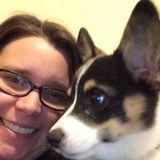 Wonderful Petsitter in Lynchburg, Virginia