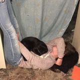 Knowledgeable Pet Sitter in Augusta