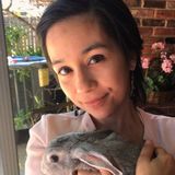 Mother of a 11 and 9 yr old looking for babysitting jobs for the summer