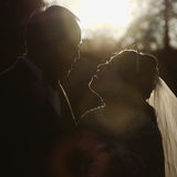 Wedding Films Crafted to Complement Your Special Day