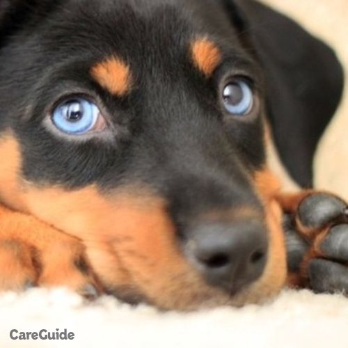 Pet Care Provider Otis Q's Profile Picture