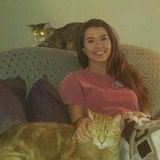 Caring Pet Sitting Available