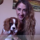 Experienced dog mom ready to care for your fur child!