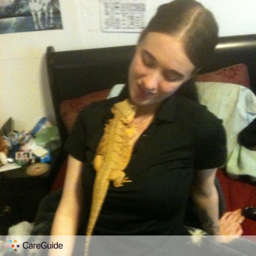 Pet Care Provider Amanda B's Profile Picture