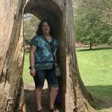 Seeking a Sitter Job in Fairport, New York