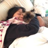 Etobicoke/Toronto Core Pet-Sitting, Dog Boarding, Dog-Walking- Caring, Loving, & Reliable!