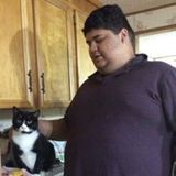 Cat Lover, I will treat your cat like family! - Flex schedule