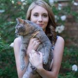 Reliable pet services that offer tons of love for your fur babies!