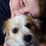 Reliable Pet Sitting Available Now!