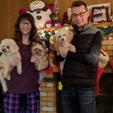 Blackfalds Petsitter Available For Work in Red Deer Area