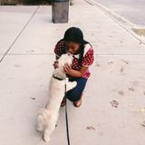 Flexible Dog Sitter in Englewood, New Jersey