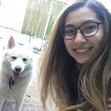 Elmhurst, New York Pet Carer