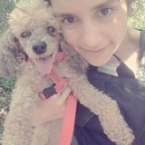 Trustworthy Pet Care Provider Available Immediately